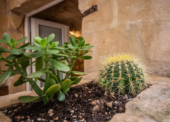 San Biagio Nei Sassi Appartamento Matera